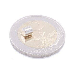 Brudazon | 50 Scheibenmagnete 4x4 mm | N52 Klasse Neodym Magnete | Modellbau